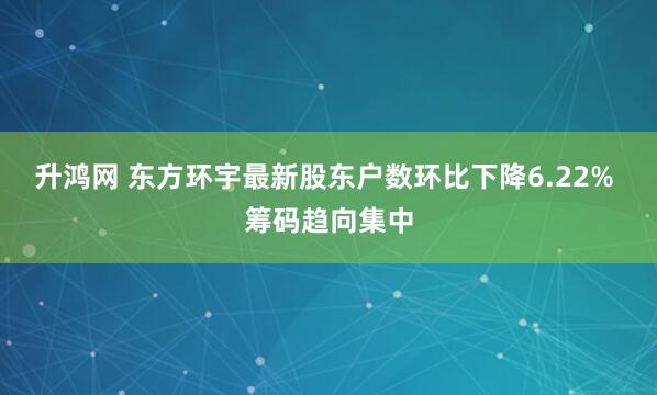 升鸿网 东方环宇最新股东户数环比下降6.22% 筹码趋向集中