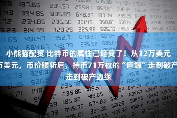小熊猫配资 比特币的属性已经变了！从12万美元到6万美元，币价腰斩后，持币71万枚的“巨鲸”走到破产边缘