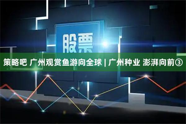 策略吧 广州观赏鱼游向全球 | 广州种业 澎湃向前③